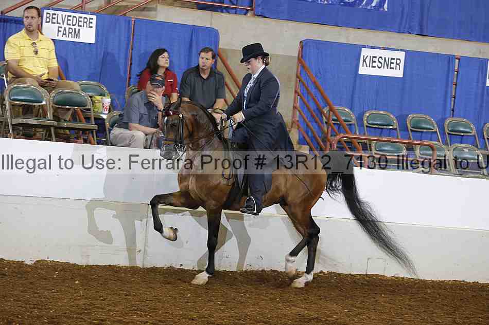 Proof 13r12_7130