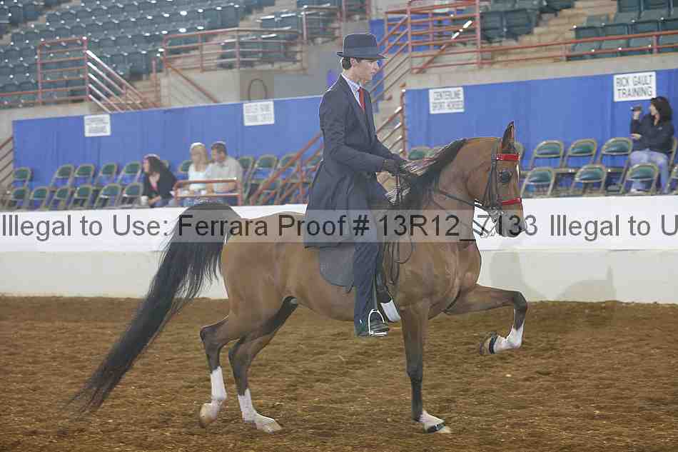 Proof 13r12_7133