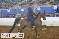 13r12_7133 proof