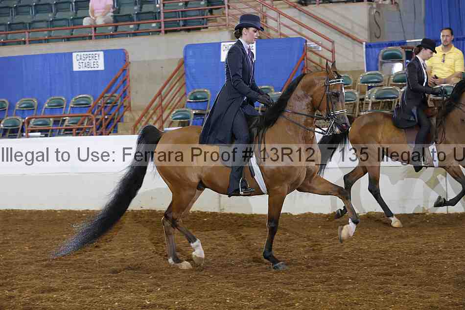 Proof 13r12_7135