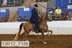 13r12_7136 proof