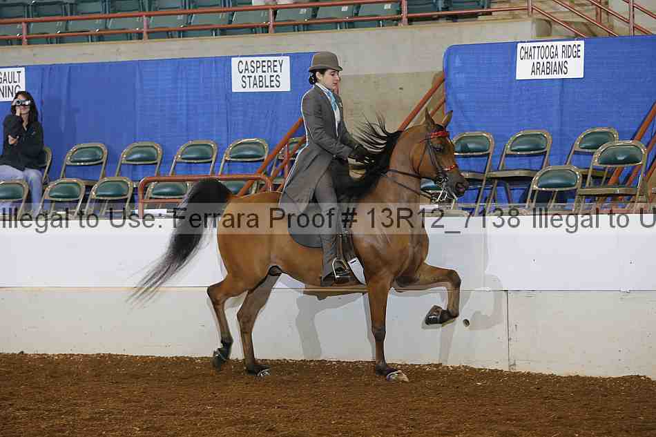 Proof 13r12_7138