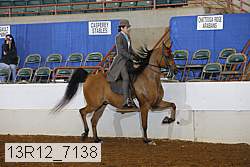 13r12_7138 proof
