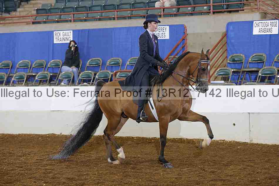 Proof 13r12_7142