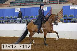 13r12_7142 proof