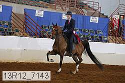 13r12_7143 proof