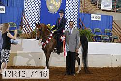 13r12_7146 proof