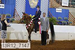 13r12_7147 proof