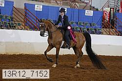 13r12_7152 proof