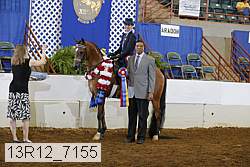13r12_7155 proof