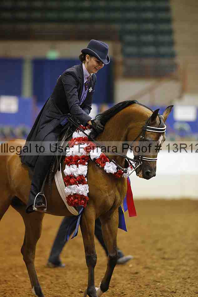 Proof 13r12_7161