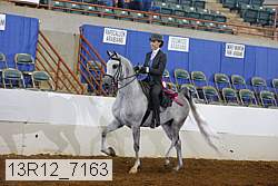 13r12_7163 proof