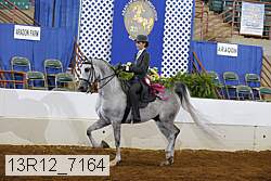 13r12_7164 proof