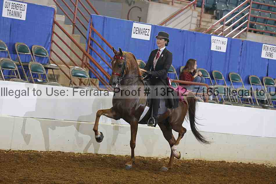 Proof 13r12_7165