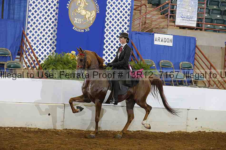 Proof 13r12_7167