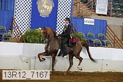 13r12_7167 proof