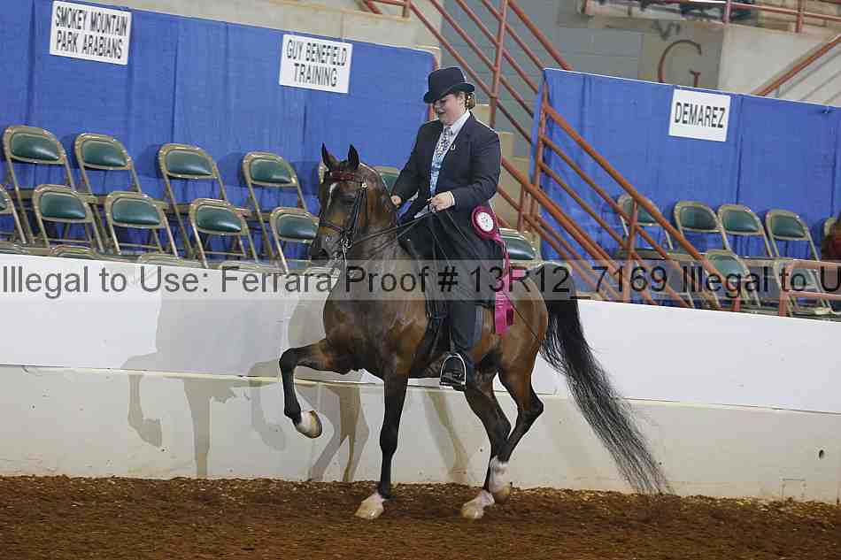 Proof 13r12_7169