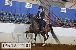 13r12_7169 proof