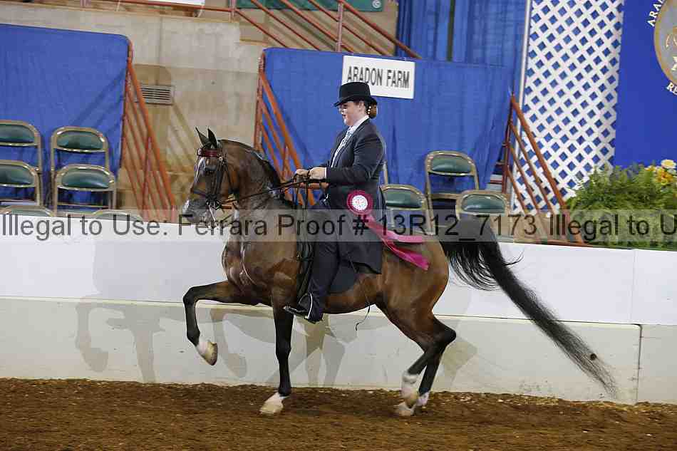 Proof 13r12_7173