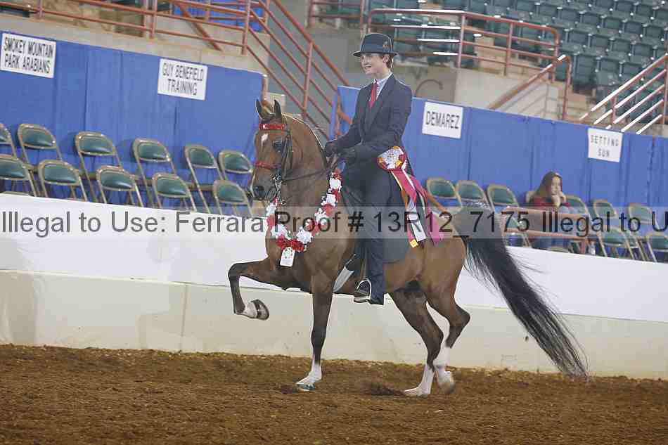 Proof 13r12_7175