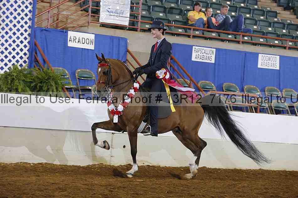 Proof 13r12_7176