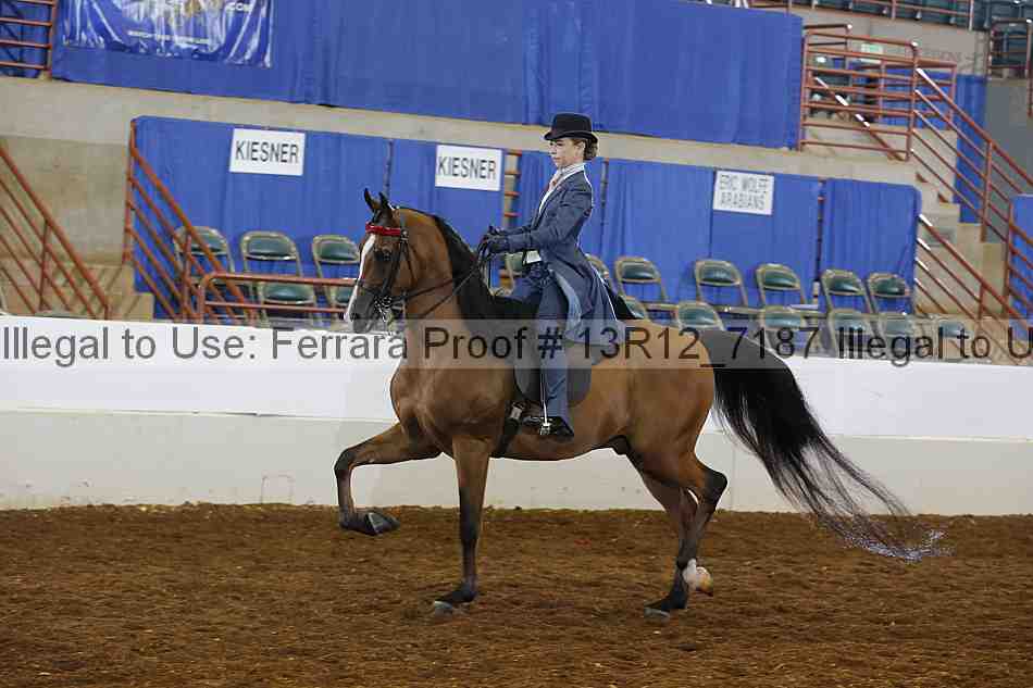 Proof 13r12_7187