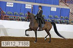 13r12_7188 proof