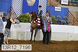 13r12_7196 proof