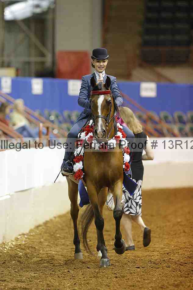 Proof 13r12_7199