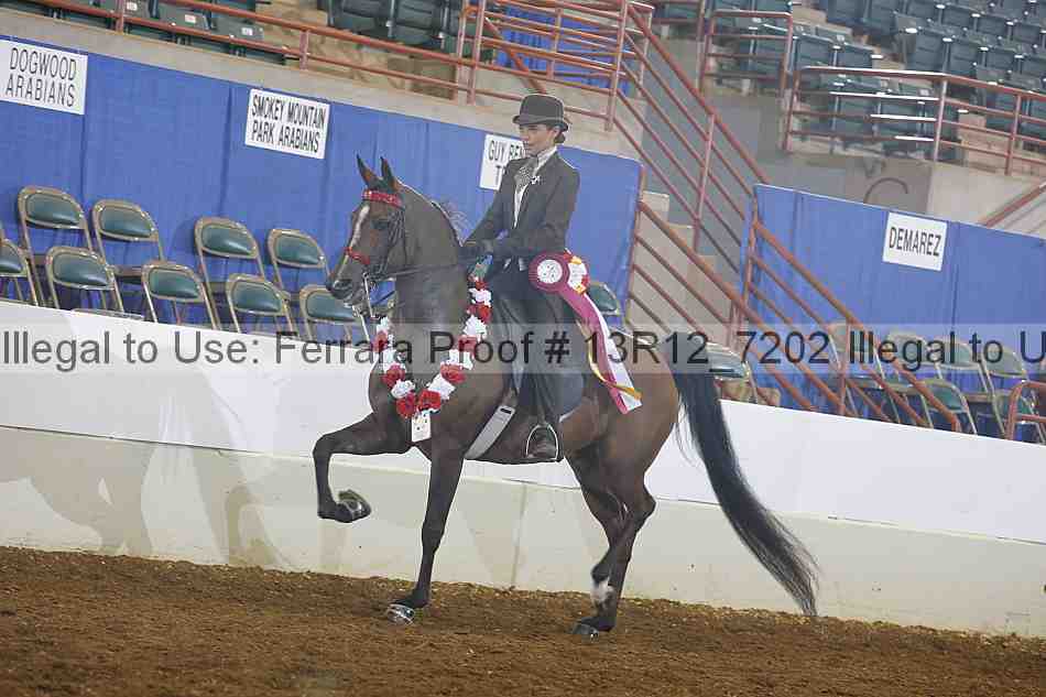Proof 13r12_7202
