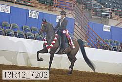 13r12_7202 proof