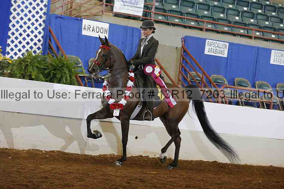 Proof 13r12_7203