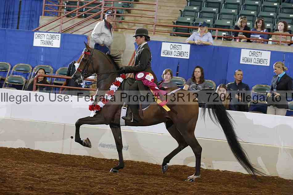Proof 13r12_7204