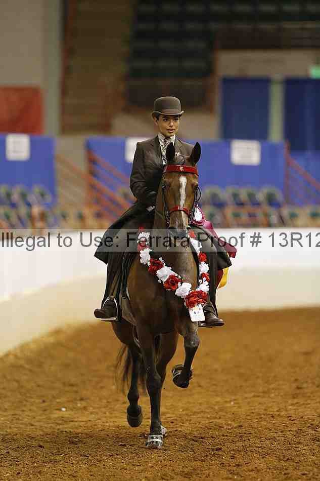 Proof 13r12_7206