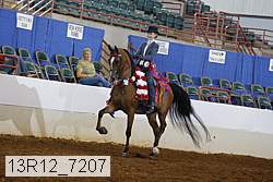 13r12_7207 proof