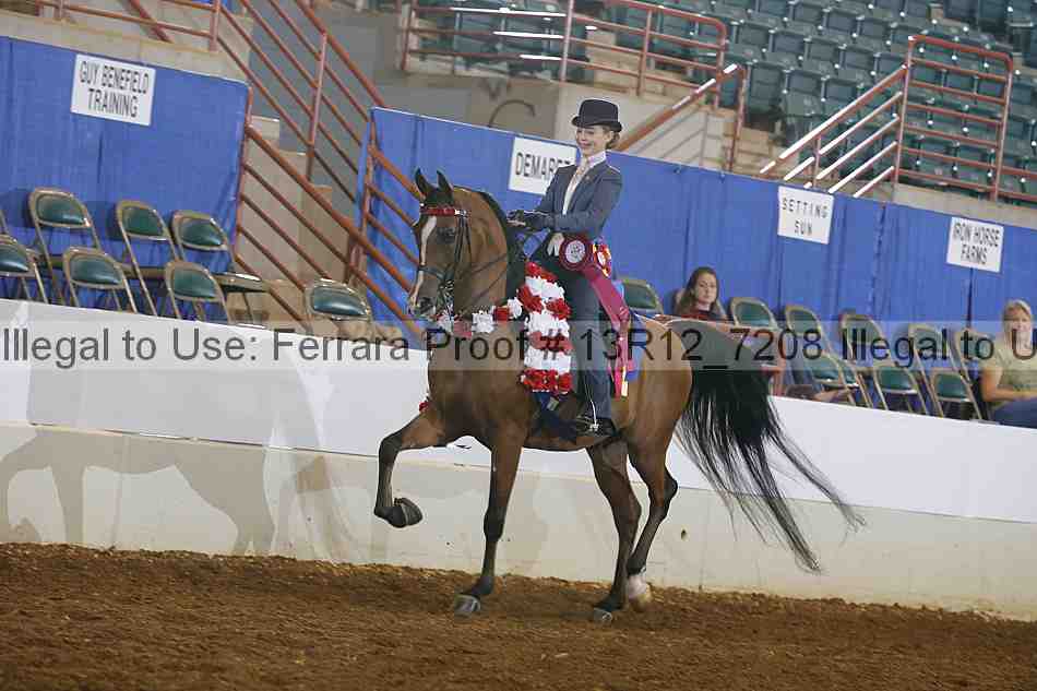 Proof 13r12_7208