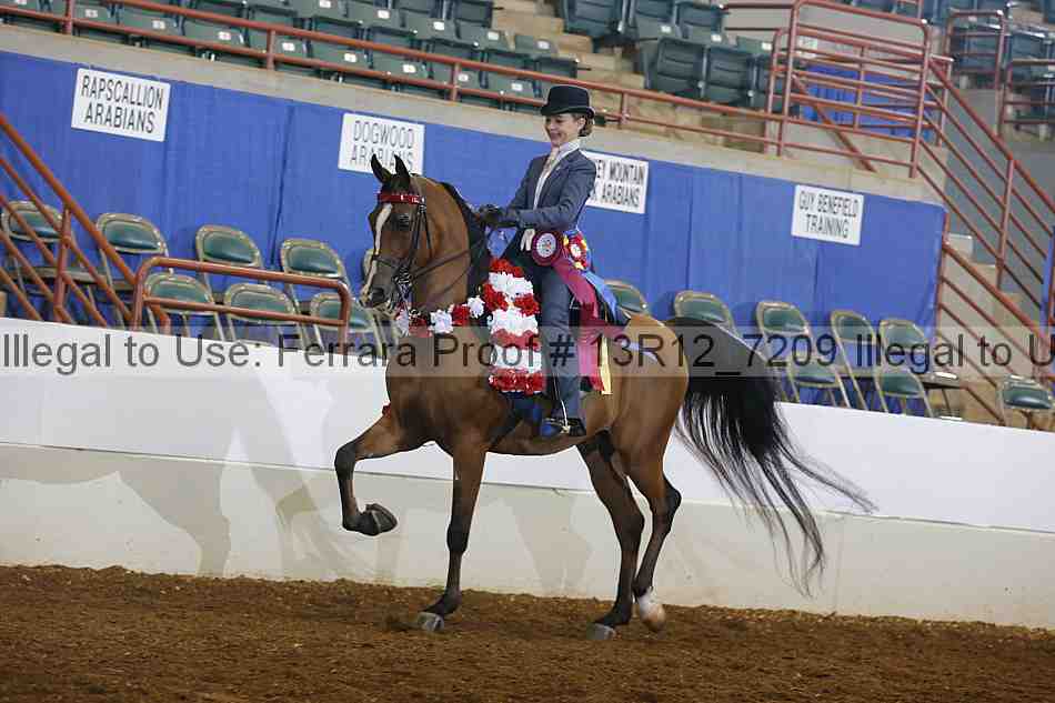 Proof 13r12_7209