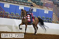 13r12_7209 proof