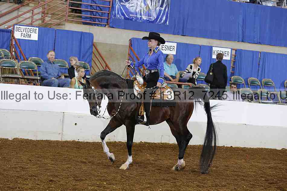 Proof 13r12_7245
