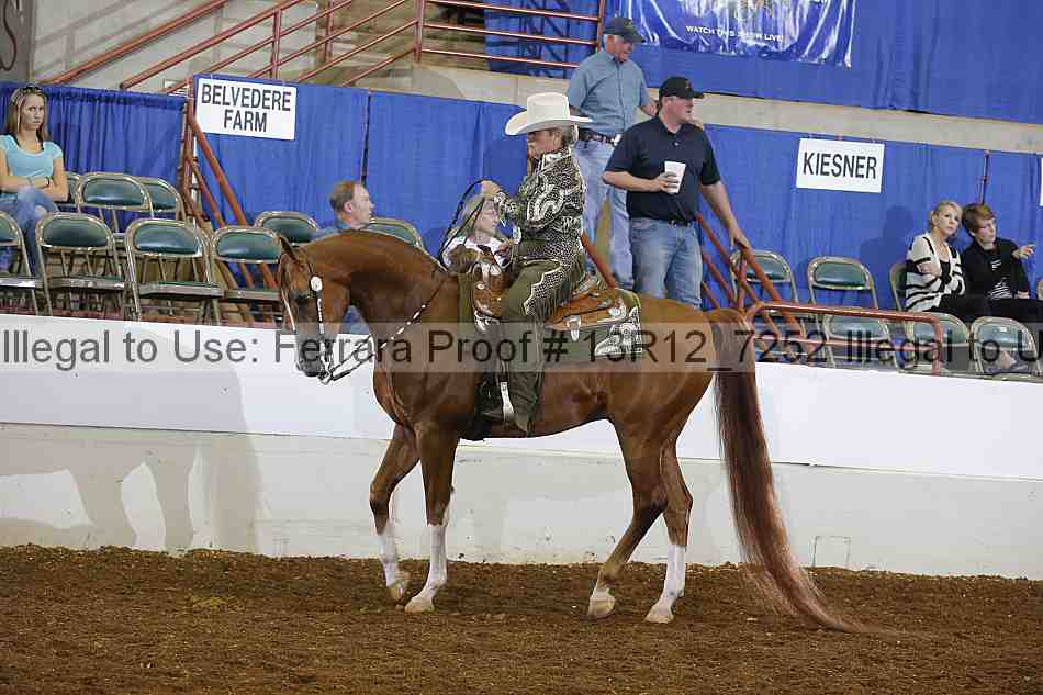 Proof 13r12_7252