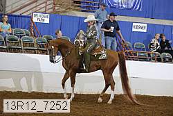 13r12_7252 proof