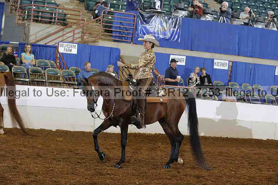 Proof 13r12_7253