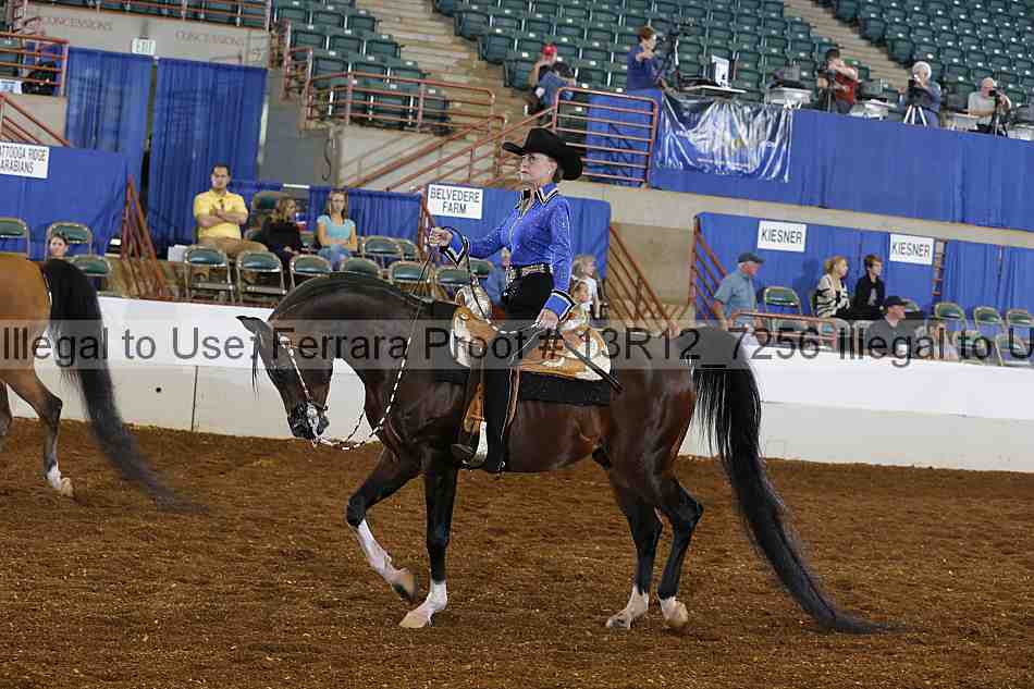 Proof 13r12_7256