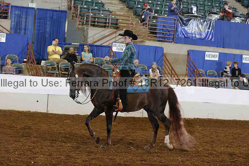 Proof 13r12_7261