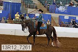 13r12_7261 proof