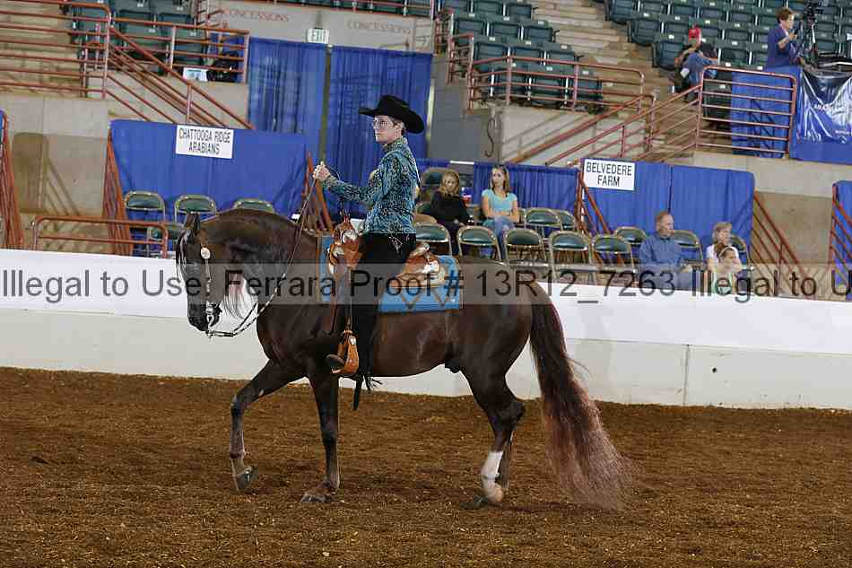 Proof 13r12_7263