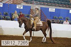 13r12_7265 proof