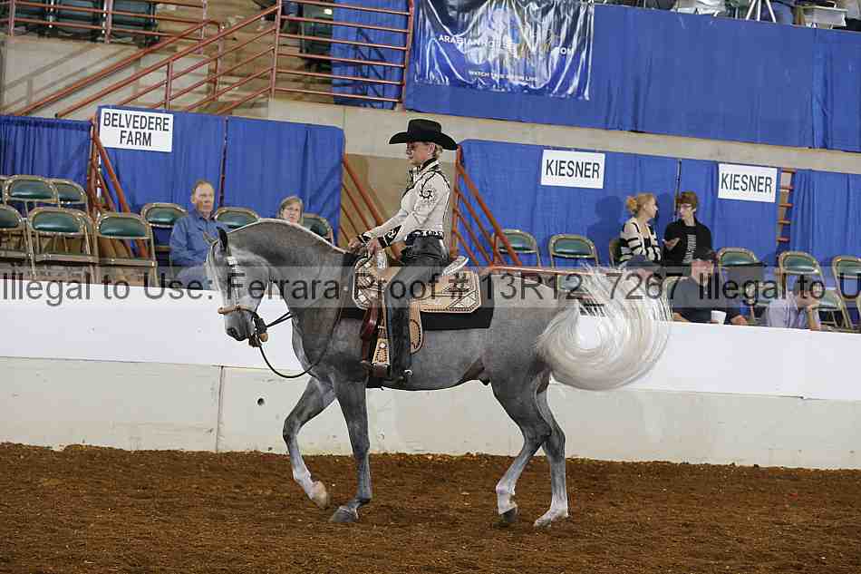 Proof 13r12_7267