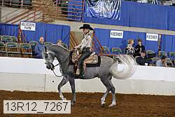 13r12_7267 proof