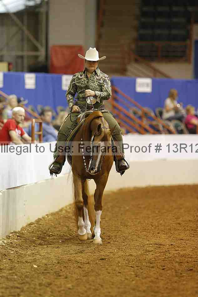 Proof 13r12_7268